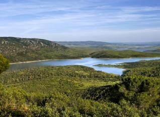 Embalse Cijara